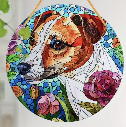 Jack russell terrier - jack,
