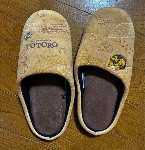 Totoro slippers indoor - , room