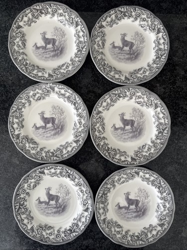 Spode delamere rural - delamere, 6
