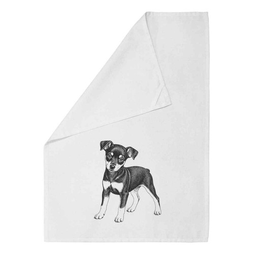 Miniature pinscher puppy - 'miniature, puppy'