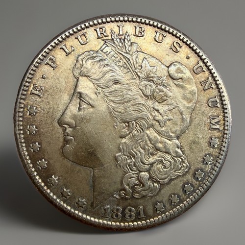 1881 morgan silver - s,
