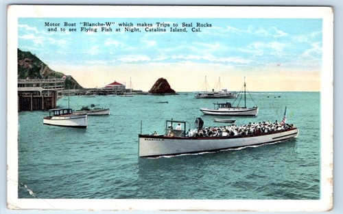 Blanche boat catalina - boat,