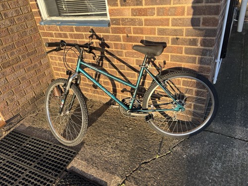 Raleigh activator ladies - activator,