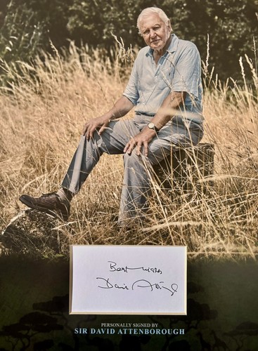 Sir david attenborough - sir,