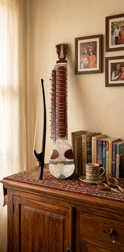 Professional indian esraj - professional,