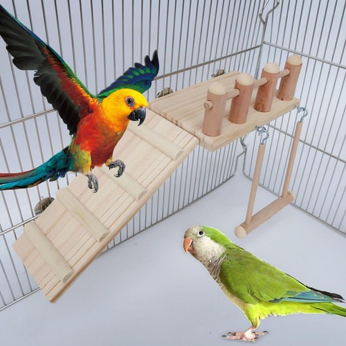 Parrot enrichment toys swing - parrot,