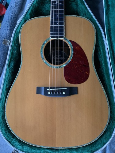 1999 vintage v1200n acoustic - vintage,