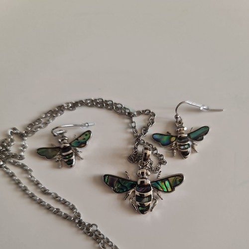 Bee paua shell - paua,