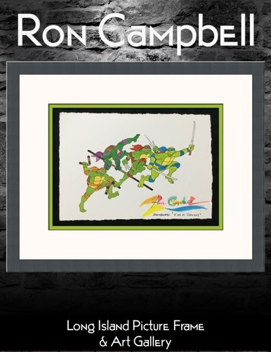 Ron campbell teenage mutant - ron,
