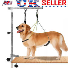 Foldable Pet Dog Cat Grooming Table w/Adjustable Loop Noose Arm Non Slip sliver