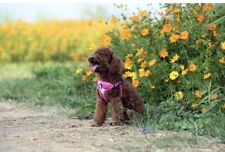 True Love COMFORTABLE step-in dog harness - Medium