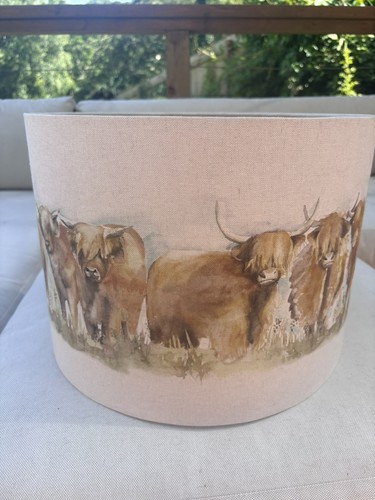 Voyage maison highland cows - voyage,