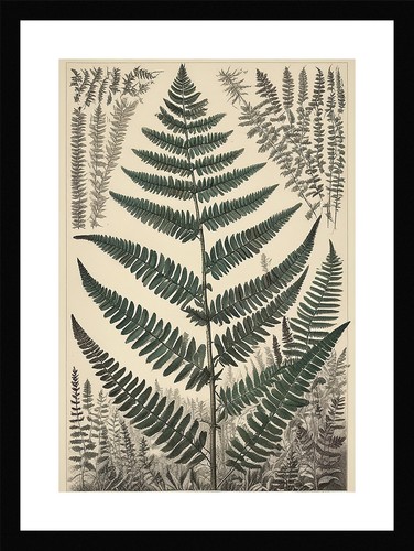 Enchanting fern fronds print - enchanting,