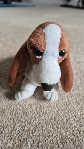 Hush puppies basset hound dog - basset,