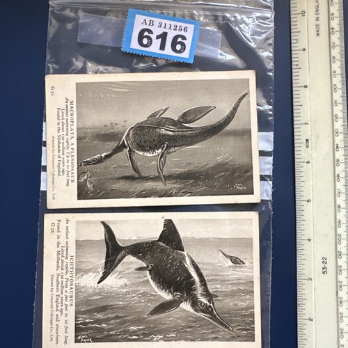 Np616 dinosaur collectables - np616,