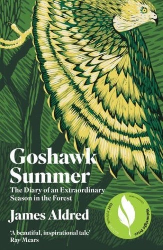 Goshawk summer james aldred - goshawk,