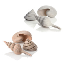 Biorb Sea Shells 3 Pack White