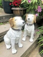 Handsome Old Faithful Dog