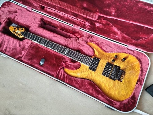 Esp horizon custom electric - esp,