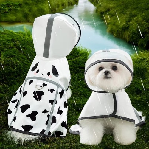 Pet dog puppy - pet, coat