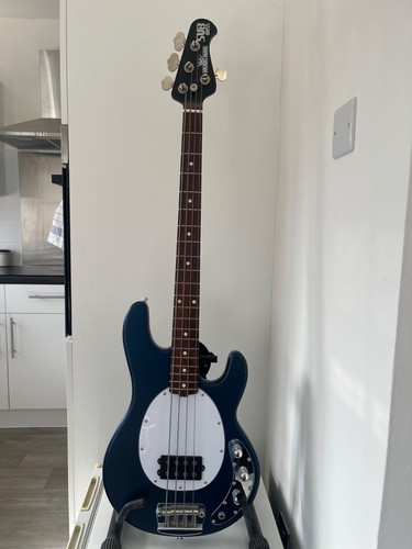 Ernie ball musicman - ernie,
