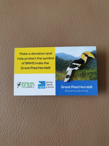 Rspb great pied hornbill - rspb,
