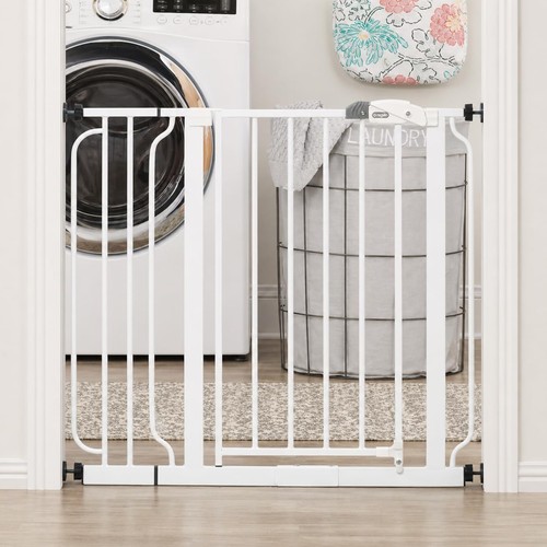 Regalo easy step - regalo, walk