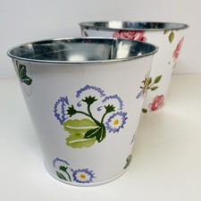 Emma Bridgewater M&S Roses