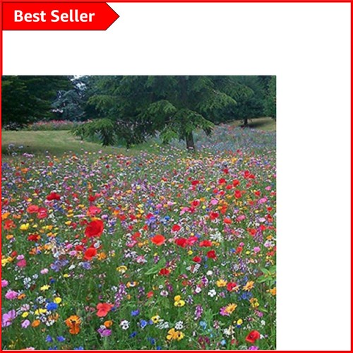 Transform your garden 100 - transform, 100%