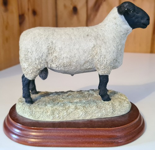 Border fine arts - arts, tup"