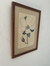 Vintage Antique Wooden Framed Print Of Magnolia Flower