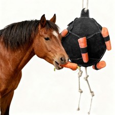 Carrot Feeding Ball Toy Slow