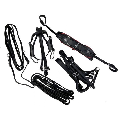 Driving harness leather - harness, mini