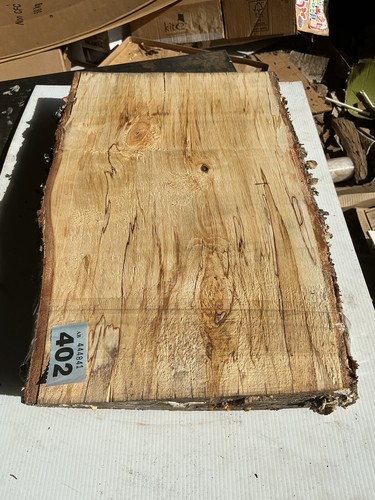 Spalted silver birch - spalted, birch,silver