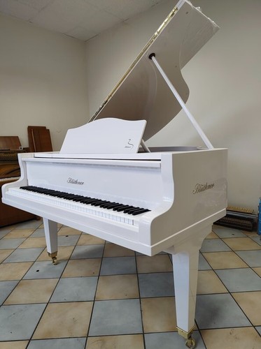 Blüthner 153 - , (5')
