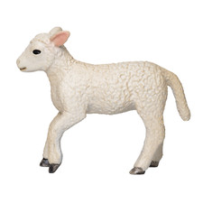 Mojo ROMNEY SHEEP LAMB RUNNING