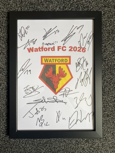 Watford football club - club, fc