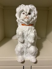Lovely Antique White Maltese