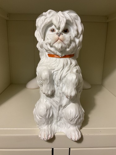 Lovely antique white maltese - lovely,