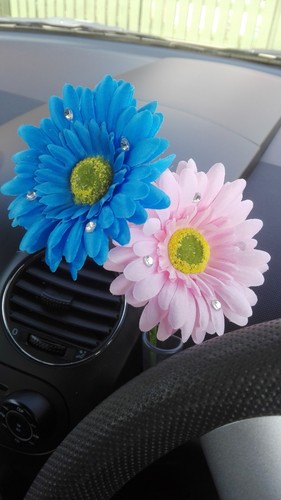 Double gerbera dashboard daisy - double,