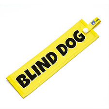 Blind dog - blind,