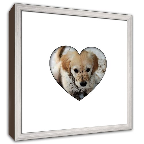 Heartstagram steel wood frame - heartstagram,
