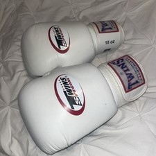 Twins Special Muay Thai Heavy