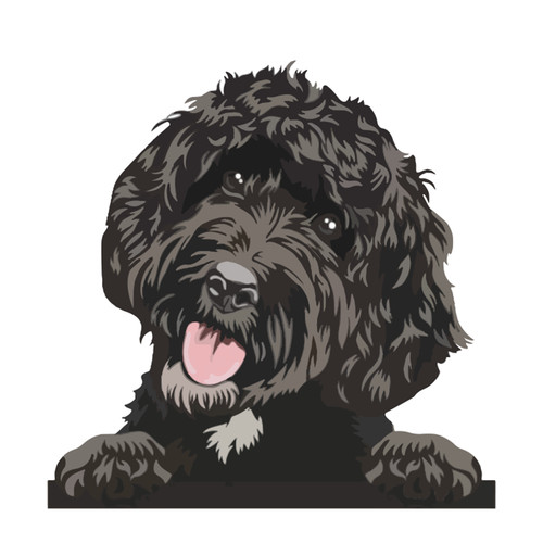 Black labradoodle peeking dog - labradoodle,