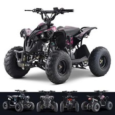110cc Petrol Mini Quad Bike 4