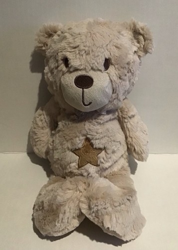 Next teddy bear - bear, on