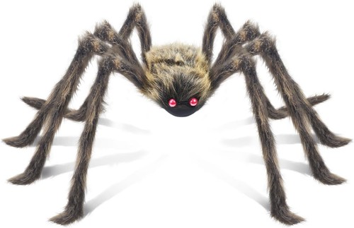 Giant outdoor spiders - giant, brown