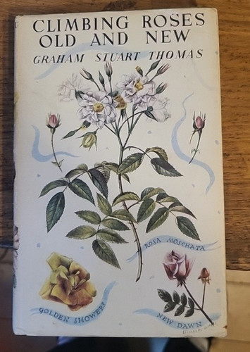 Climbing roses old and - and, by