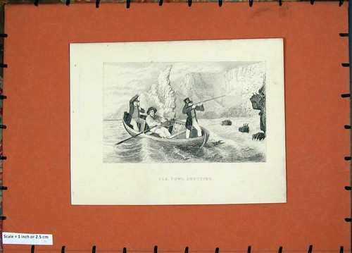 Original old antique print - old, sea