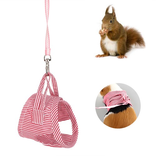 Small animal pet clothes - animal,